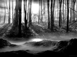 Image result for haunted woods