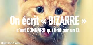 Résultat de recherche d'images pour 