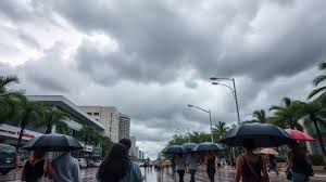 Miami tuvo una jornada de lluvias moderadas y alta humedad durante este sábado 1 de agosto
