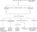 Burns treatment guidelines