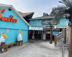 Image of Sandbar in Galveston, Texas