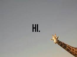 Image result for hi meme