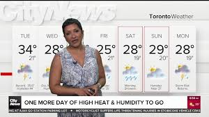 CityNews Toronto - News update