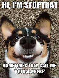Image result for hi meme