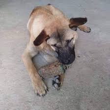 Cao Thủ - Dỗi thật sự | Facebook