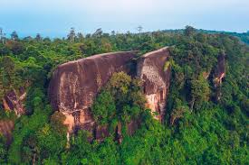 Aerial view of three whales rock or Hin Sam Whales in Phu Sing Country park in Buegkan province, Thailand. Stock PH๏τo | Adobe Stock
