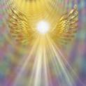 ANGELI 