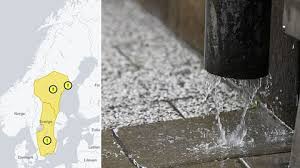 SVT Nyheter - News update