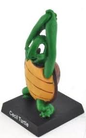 Image result for cecil turtle