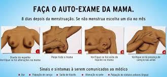 Resultado de imagem para auto exame