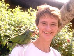 Katherine Renton Estudios sobre ecología de aves, para el conocimiento de su importancia en comunidades tropicales y la aplicación de esquemas para su ... - katperico