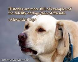 Funny Wallpapers: Dog quotes, dog quote, famous dog quotes via Relatably.com