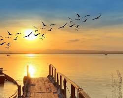 Image of serene nature scene