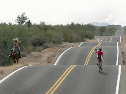 Saguaro national park east cyclist horse