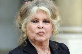 ‘Racist!’ shout disrupts Brigitte Bardot tribute at French awards show