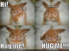 Bunny Quotes on Pinterest | Happy Bunny Quotes, Grav3yardgirl ... via Relatably.com