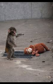 What a pose Punch is giving! He does not even care about ...