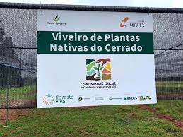Construção de viveiro no Norte de Minas transforma sementes do Cerrado em estratégia de restauração ambiental…