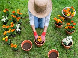 Thriving Through Gardening: How Cultivating Plants Can Boost Your Mind and Body - 1