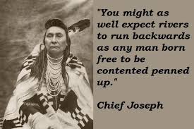 Words Native American on Pinterest | Native American Quotes ... via Relatably.com