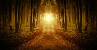 Image result for path images