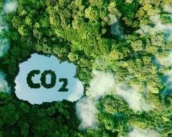 Image of Tăng cường khả năng hấp thụ khí nhà kính của rừng