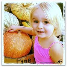 Princess Sweetie Pie picks a pumpkin from Traders Joe&#39;s while shopping with Mommy yesterday. - Princess-Sweetie-Pie-picks-a-pumpkin