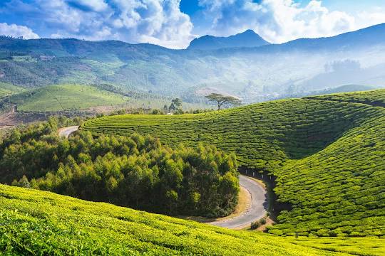 Munnar