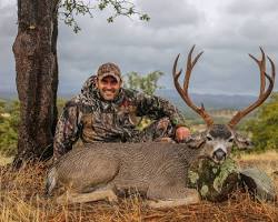 Image of Columbian Blacktailed Deer California