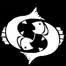 Image result for pisces