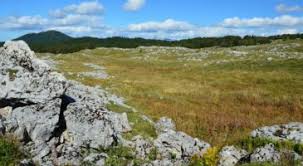 Archéologie 2.0 : sans faire la moindre fouille, des chercheurs révèlent des tombes vieilles de 5 000 ans sous des champs en Bohême