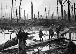 Image result for the somme 1916
