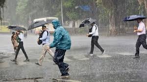 Tamil Nadu Weather: Moderate Rain In Chennai, Thanjavur, Other Districts; Northerly Winds To Bring Chill | IMD Forecast