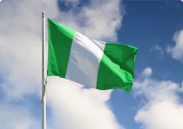 Image result for nigerian flag