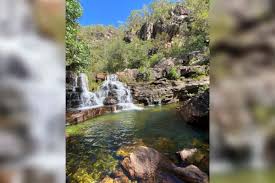 Criança de 8 anos é atacada por onça-parda na Chapada dos Veadeiros