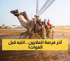يمن برس - News update