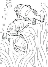 fish coloring pages ile ilgili görsel sonucu