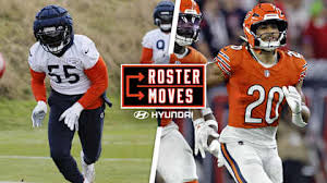 Roster Moves: Bears activate Martin, Homer off IR; elevate Moore to active 
roster