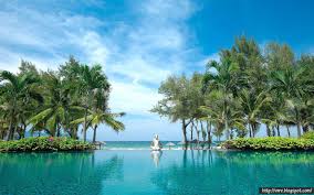 Kết quả hình ảnh cho da nang