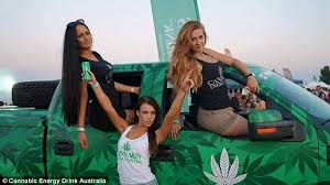 Resultado de imagem para cannabis energy drink