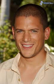 <b>Juan Alfonso</b> Baptista &middot; Wentworth Miller, Mann, Schauspieler - wentworth-miller,-mann,-schauspieler-143170