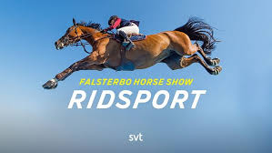 SVT Nyheter - News update