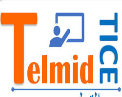  Telmidtice