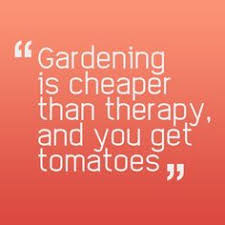 DIY Gardening on Pinterest | Garden Quotes, Gardening and ... via Relatably.com