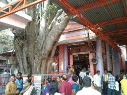 Image result for images of akkalkot