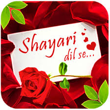 Image result for love shayari logo