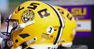 LSU wide receiver Nic Anderson plans to enter the Transfer Portal