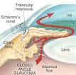 Qvision Glaucoma: Predominio de la ansiedad y depresión en Glaucoma primario de ángulo cerrado images?q=tbn:ANd9GcQO KN7QUlTQAxU7LVXyKMmBr477GlA bURR4YsLGzijmUzyxG 0PZYYc