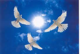 Image result for angelic doves