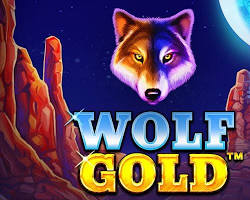 Wolf Gold (Pragmatic Play) 이미지